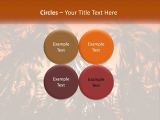 A Group Of Palm Trees With The Sun In The Background PowerPoint Template