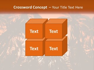 A Group Of Palm Trees With The Sun In The Background PowerPoint Template