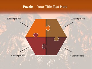 A Group Of Palm Trees With The Sun In The Background PowerPoint Template