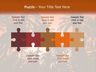 A Group Of Palm Trees With The Sun In The Background PowerPoint Template