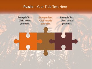 A Group Of Palm Trees With The Sun In The Background PowerPoint Template