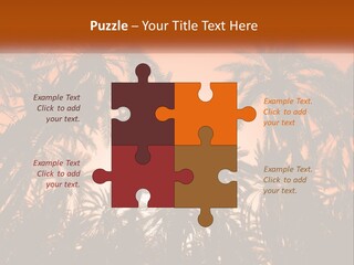 A Group Of Palm Trees With The Sun In The Background PowerPoint Template