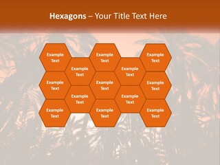 A Group Of Palm Trees With The Sun In The Background PowerPoint Template
