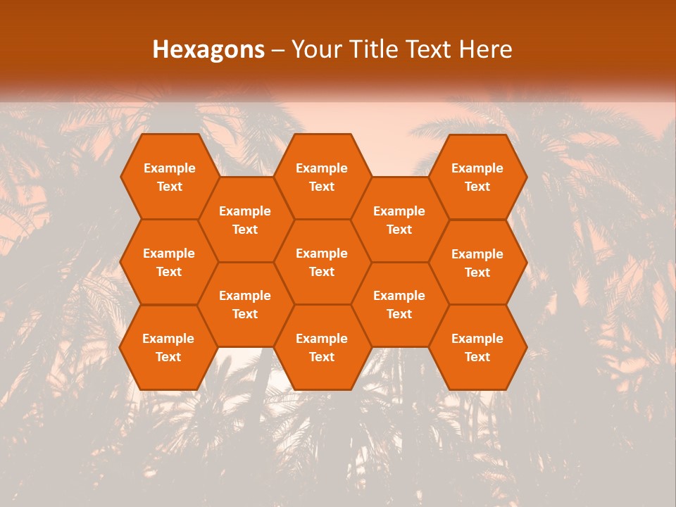 A Group Of Palm Trees With The Sun In The Background PowerPoint Template