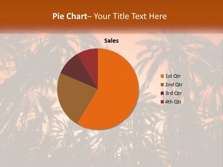 A Group Of Palm Trees With The Sun In The Background PowerPoint Template