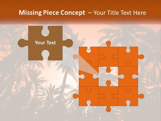 A Group Of Palm Trees With The Sun In The Background PowerPoint Template