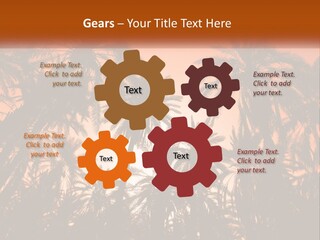 A Group Of Palm Trees With The Sun In The Background PowerPoint Template