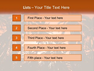 A Group Of Palm Trees With The Sun In The Background PowerPoint Template