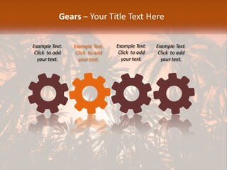 A Group Of Palm Trees With The Sun In The Background PowerPoint Template