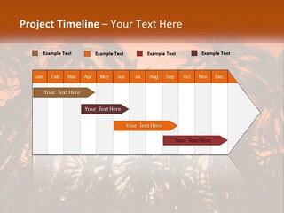 A Group Of Palm Trees With The Sun In The Background PowerPoint Template