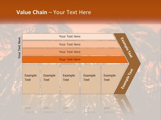 A Group Of Palm Trees With The Sun In The Background PowerPoint Template