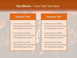 A Group Of Palm Trees With The Sun In The Background PowerPoint Template