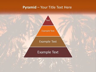 A Group Of Palm Trees With The Sun In The Background PowerPoint Template