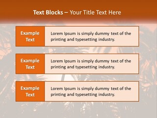 A Group Of Palm Trees With The Sun In The Background PowerPoint Template