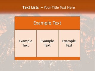 A Group Of Palm Trees With The Sun In The Background PowerPoint Template