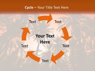 A Group Of Palm Trees With The Sun In The Background PowerPoint Template