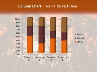 A Group Of Palm Trees With The Sun In The Background PowerPoint Template