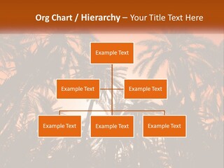 A Group Of Palm Trees With The Sun In The Background PowerPoint Template