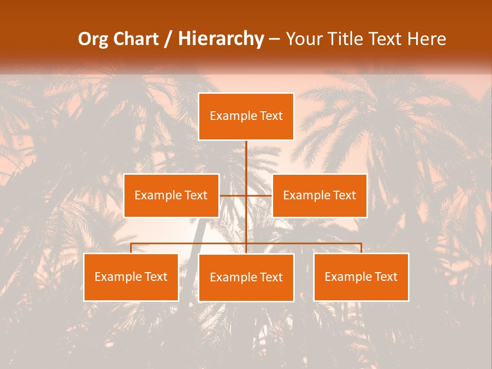 A Group Of Palm Trees With The Sun In The Background PowerPoint Template