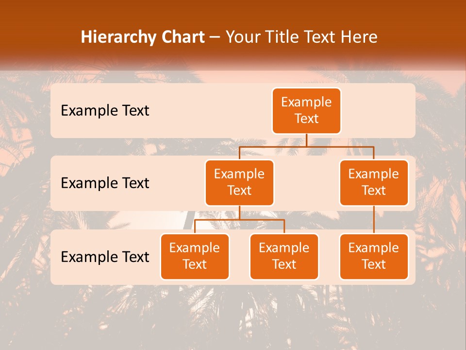 A Group Of Palm Trees With The Sun In The Background PowerPoint Template