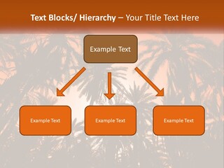 A Group Of Palm Trees With The Sun In The Background PowerPoint Template