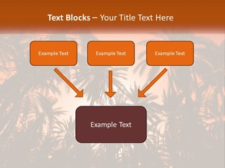 A Group Of Palm Trees With The Sun In The Background PowerPoint Template