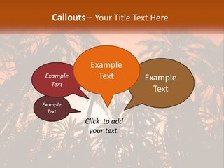 A Group Of Palm Trees With The Sun In The Background PowerPoint Template