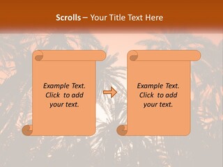 A Group Of Palm Trees With The Sun In The Background PowerPoint Template