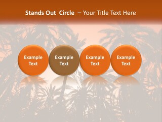 A Group Of Palm Trees With The Sun In The Background PowerPoint Template