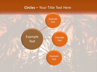 A Group Of Palm Trees With The Sun In The Background PowerPoint Template
