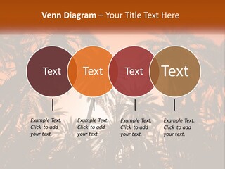 A Group Of Palm Trees With The Sun In The Background PowerPoint Template