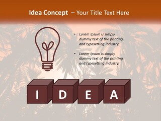 A Group Of Palm Trees With The Sun In The Background PowerPoint Template