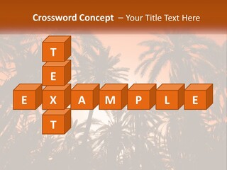 A Group Of Palm Trees With The Sun In The Background PowerPoint Template