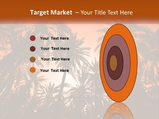 A Group Of Palm Trees With The Sun In The Background PowerPoint Template