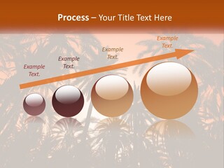 A Group Of Palm Trees With The Sun In The Background PowerPoint Template