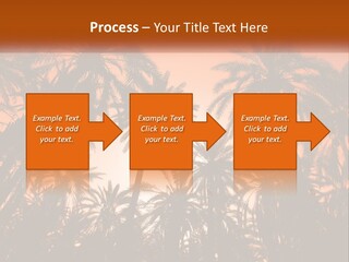 A Group Of Palm Trees With The Sun In The Background PowerPoint Template