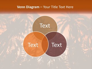 A Group Of Palm Trees With The Sun In The Background PowerPoint Template