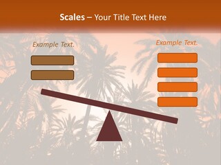 A Group Of Palm Trees With The Sun In The Background PowerPoint Template