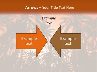 A Group Of Palm Trees With The Sun In The Background PowerPoint Template