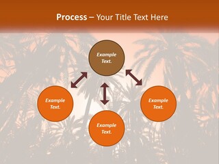 A Group Of Palm Trees With The Sun In The Background PowerPoint Template