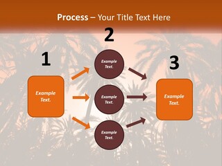 A Group Of Palm Trees With The Sun In The Background PowerPoint Template