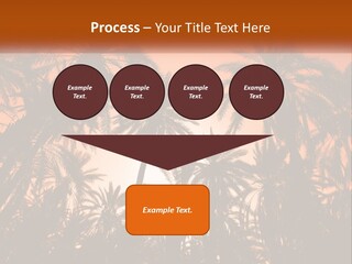 A Group Of Palm Trees With The Sun In The Background PowerPoint Template