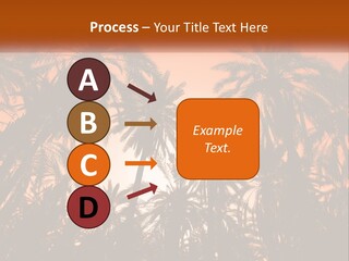 A Group Of Palm Trees With The Sun In The Background PowerPoint Template