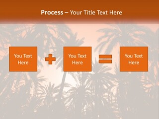 A Group Of Palm Trees With The Sun In The Background PowerPoint Template