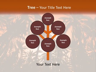 A Group Of Palm Trees With The Sun In The Background PowerPoint Template