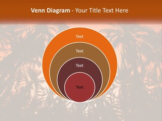 A Group Of Palm Trees With The Sun In The Background PowerPoint Template