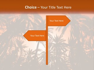 A Group Of Palm Trees With The Sun In The Background PowerPoint Template