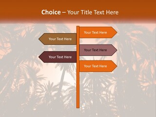 A Group Of Palm Trees With The Sun In The Background PowerPoint Template
