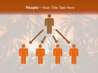 A Group Of Palm Trees With The Sun In The Background PowerPoint Template