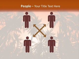 A Group Of Palm Trees With The Sun In The Background PowerPoint Template